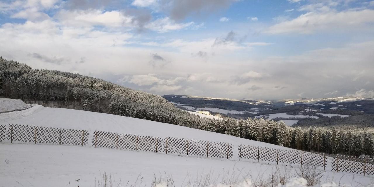 Wald-Panorama-Zimmer Bed & Breakfast Mönichkirchen Eksteriør bilde