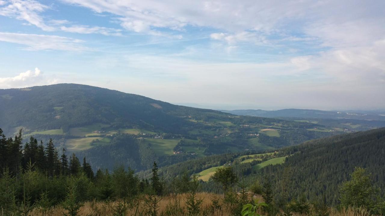 Wald-Panorama-Zimmer Bed & Breakfast Mönichkirchen Eksteriør bilde