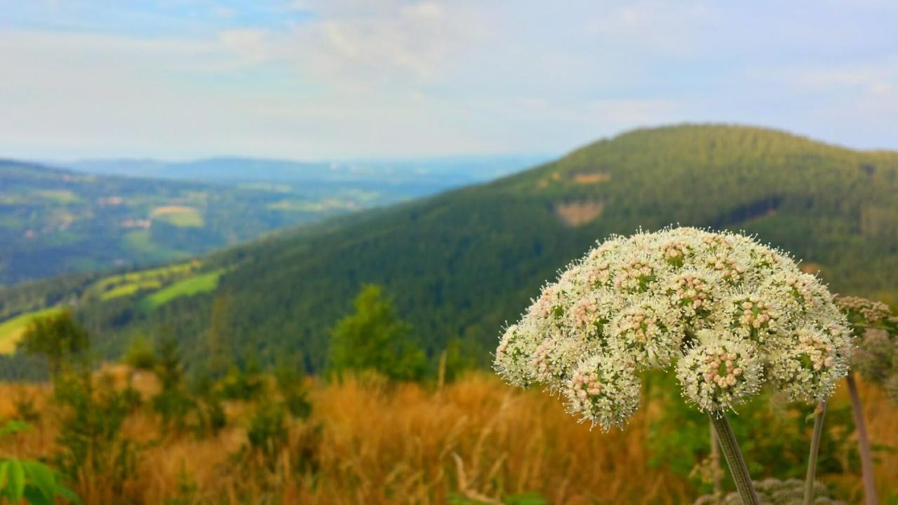 Wald-Panorama-Zimmer Bed & Breakfast Mönichkirchen Eksteriør bilde