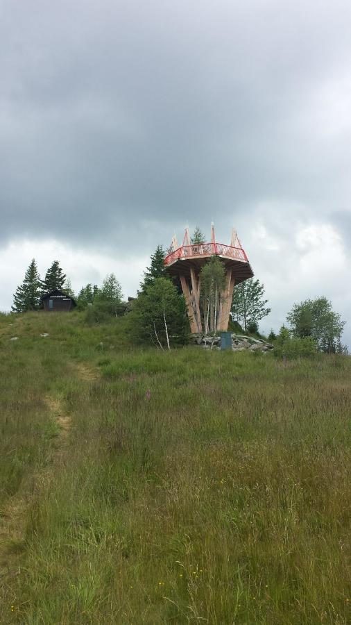 Wald-Panorama-Zimmer Bed & Breakfast Mönichkirchen Eksteriør bilde